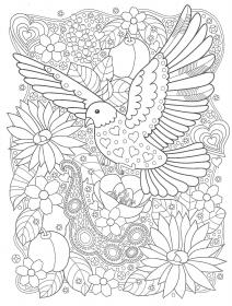 Dove coloring pages for Adults - Free printable