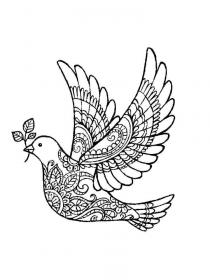 Dove coloring pages for Adults - Free printable