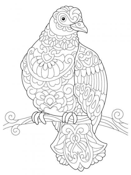 Dove coloring pages for Adults