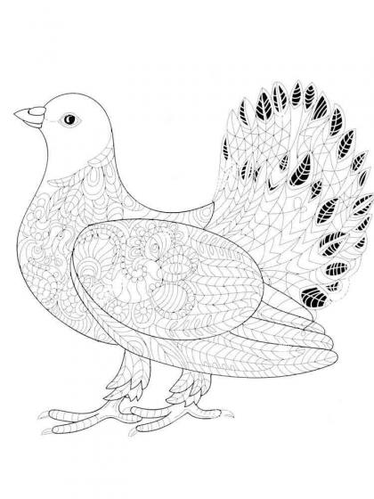 Dove coloring pages for Adults