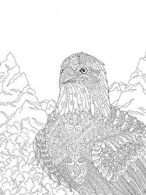 Eagle coloring pages for Adults - Free printable