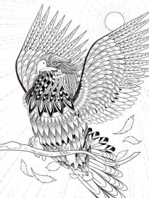 Eagle coloring pages for Adults - Free printable