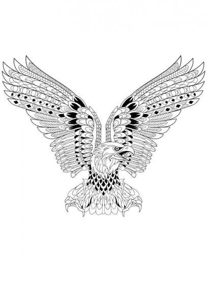 Eagle coloring pages for Adults | Free Download and Print