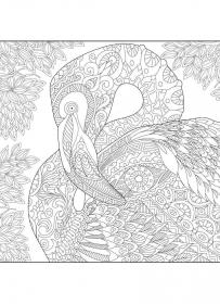 Flamingo coloring pages for Adults - Free printable