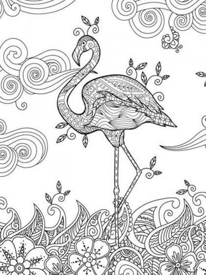 Flamingo coloring pages for Adults