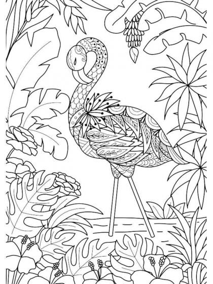 Flamingo coloring pages for Adults