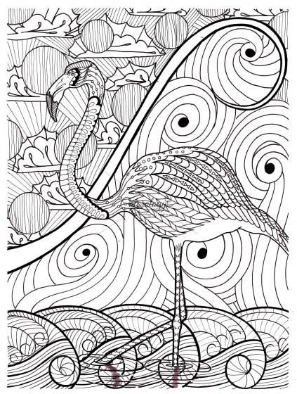 Flamingo Coloring Pages For Adults