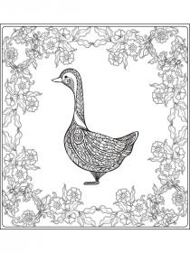 Goose coloring pages for Adults - Free printable