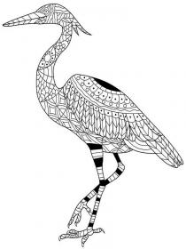 Heron coloring pages for Adults - Free printable