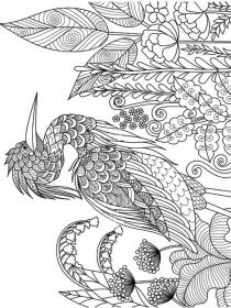 Heron coloring pages for Adults - Free printable