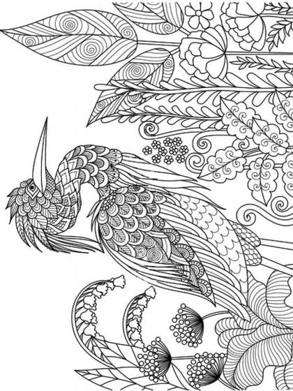 Heron coloring pages for Adults