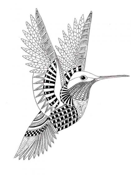 Hummingbird coloring pages for Adults