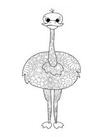 Ostrich coloring pages for Adults - Free printable