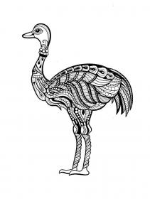Ostrich coloring pages for Adults - Free printable