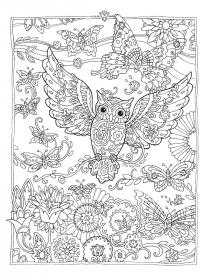 Owl coloring pages for Adults - Free printable