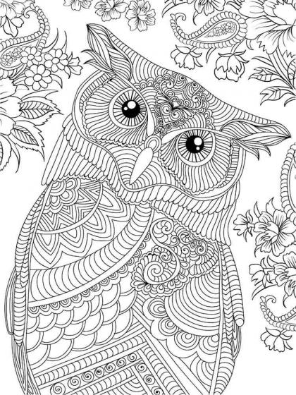 Owl coloring pages for Adults