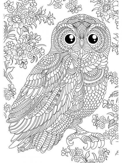 Owl coloring pages for Adults