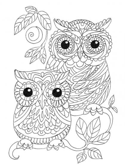 Owl coloring pages for Adults