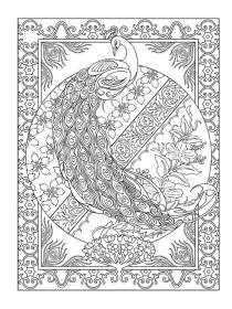 Peacock coloring pages for Adults - Free printable