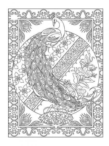 Peacock coloring pages for Adults