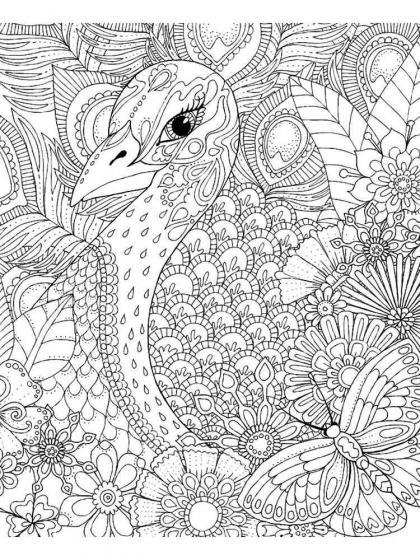 Peacock coloring pages for Adults