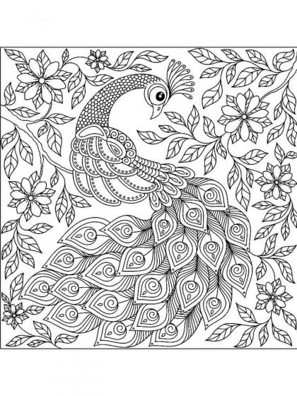 Peacock Coloring Pages For Adults