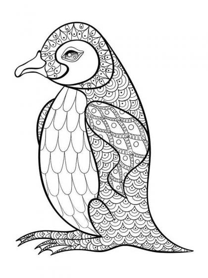 Penguin coloring pages for Adults