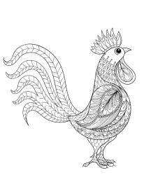 Rooster coloring pages for Adults - Free printable