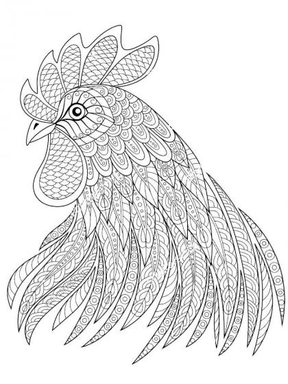 Rooster coloring pages for Adults