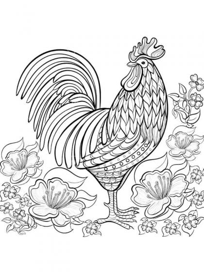 Rooster coloring pages for Adults