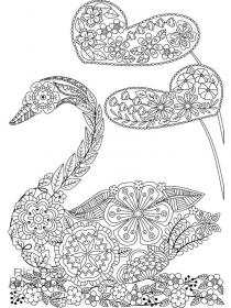 Swan coloring pages for Adults - Free printable