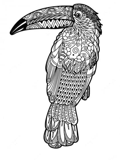 Toucan Coloring Pages For Adults