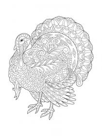Turkey coloring pages for Adults - Free printable