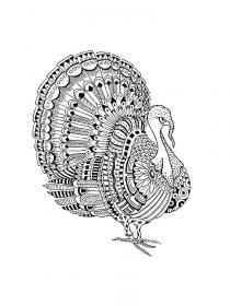 Turkey coloring pages for Adults - Free printable