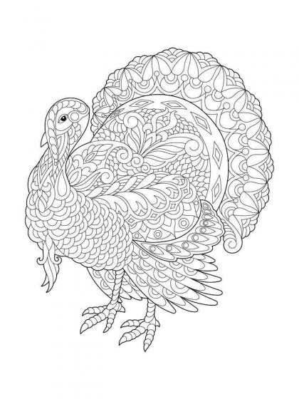 Turkey coloring pages for Adults