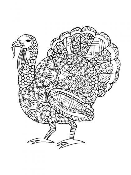 Turkey coloring pages for Adults