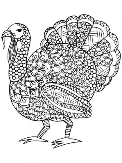 Turkey coloring pages for Adults