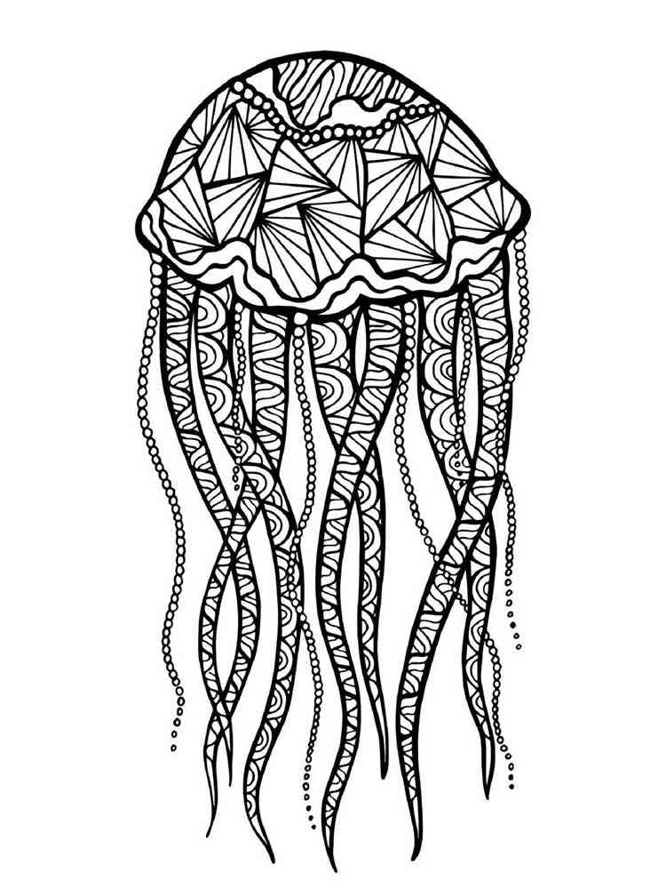 Jellyfish coloring pages for Adults Free Download and Print