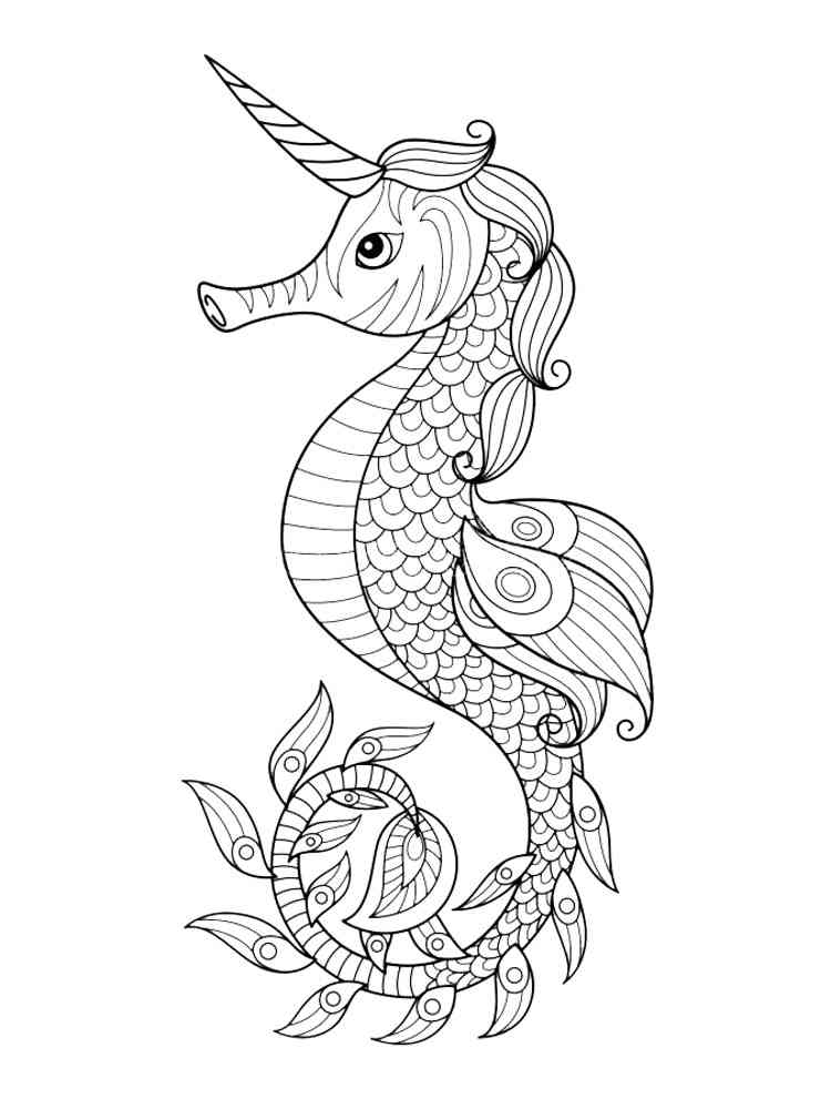 Seahorse coloring pages for Adults