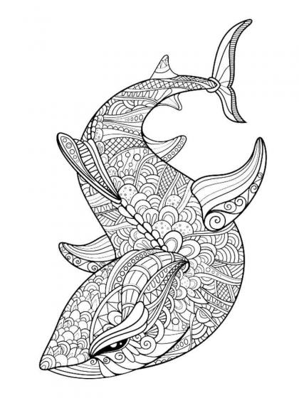 Shark coloring pages for Adults