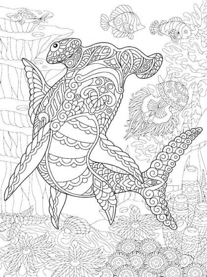 Shark coloring pages for Adults