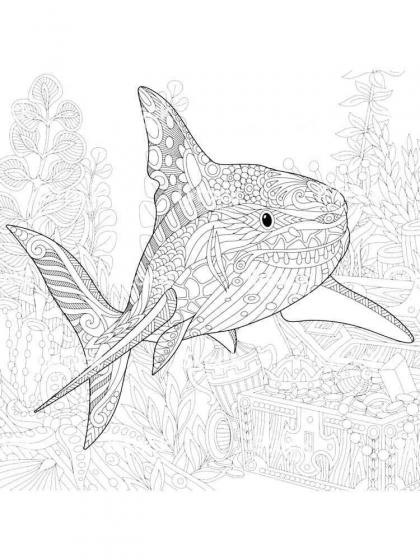 Shark coloring pages for Adults