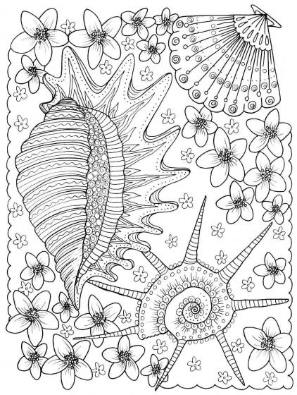 Shell coloring pages for Adults