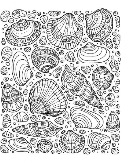 Shell coloring pages for Adults