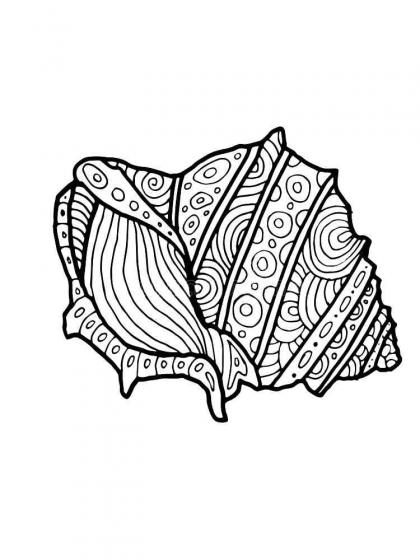 Shell coloring pages for Adults