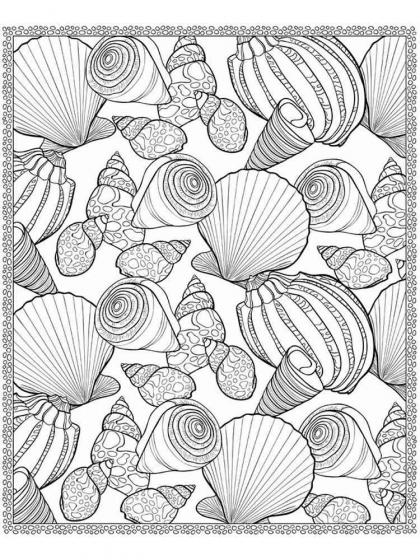 Shell coloring pages for Adults