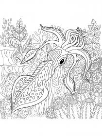 Squid coloring pages for Adults - Free printable