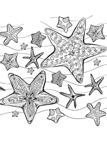 Starfish coloring pages for Adults