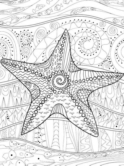 Starfish coloring pages for Adults