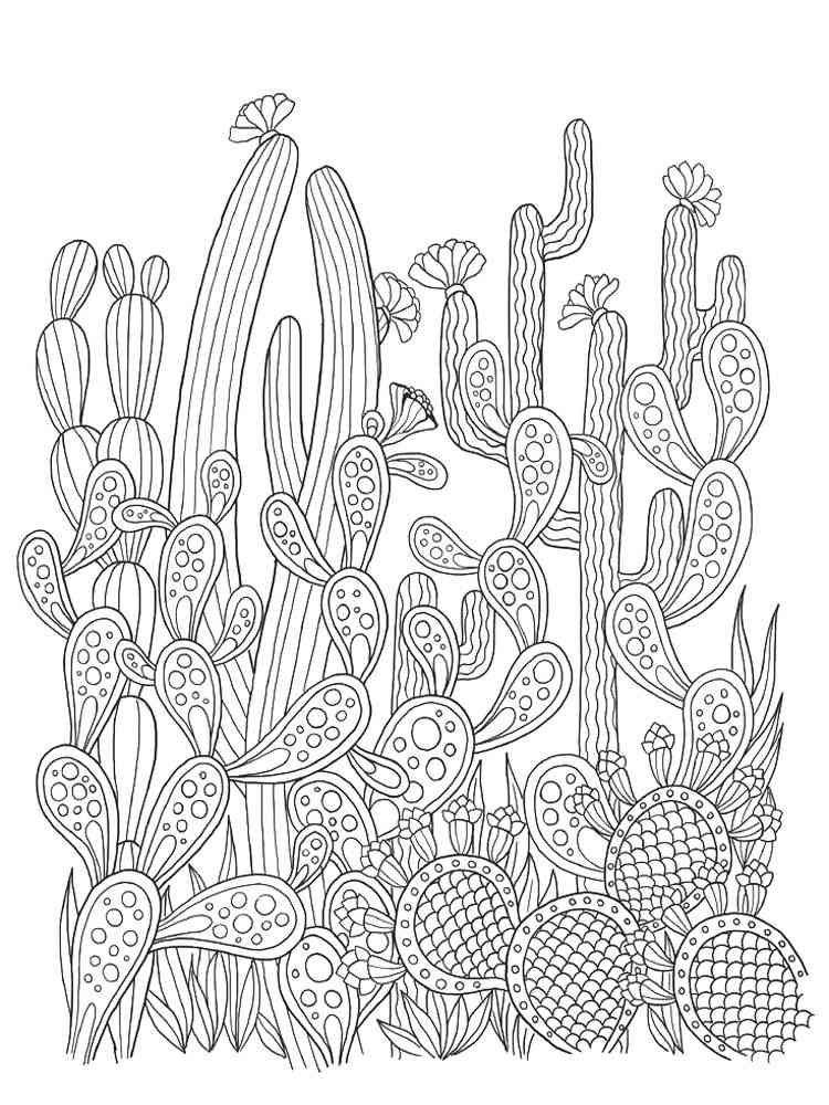 Cactus coloring pages for Adults Free Download and Print